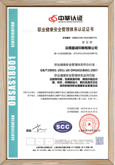 職業(yè)健康安全管理體系認證